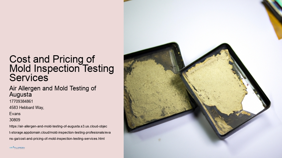 Cost and Pricing of Mold Inspection Testing Services