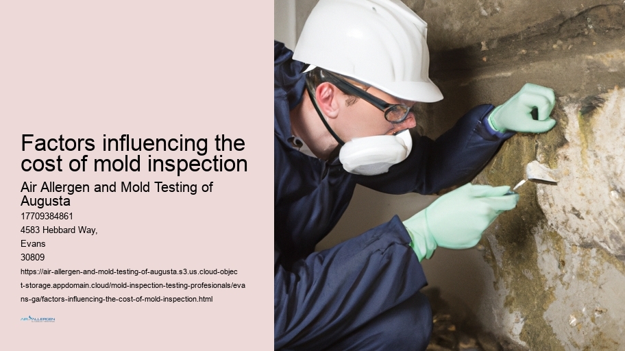 Factors influencing the cost of mold inspection