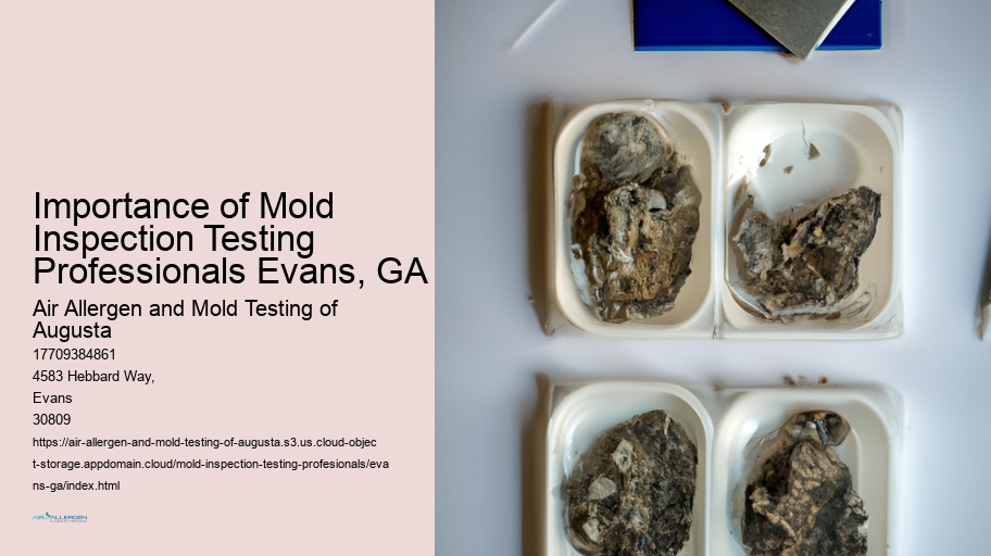 Importance of Mold Inspection Testing Professionals Evans, GA